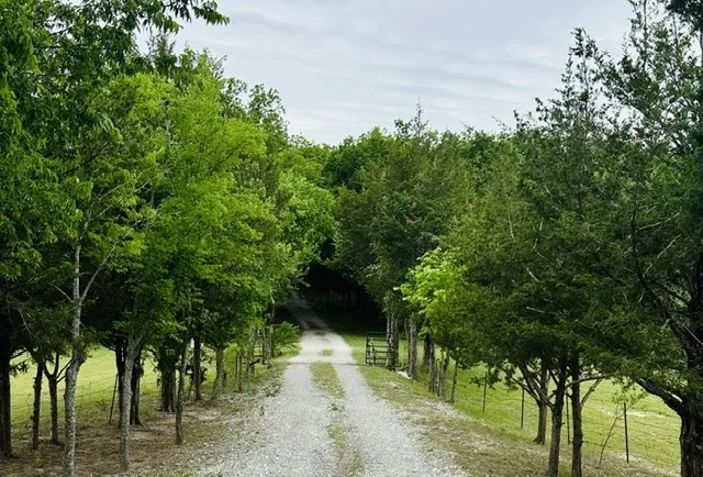 303 Celtic Road Howe, TX 75459