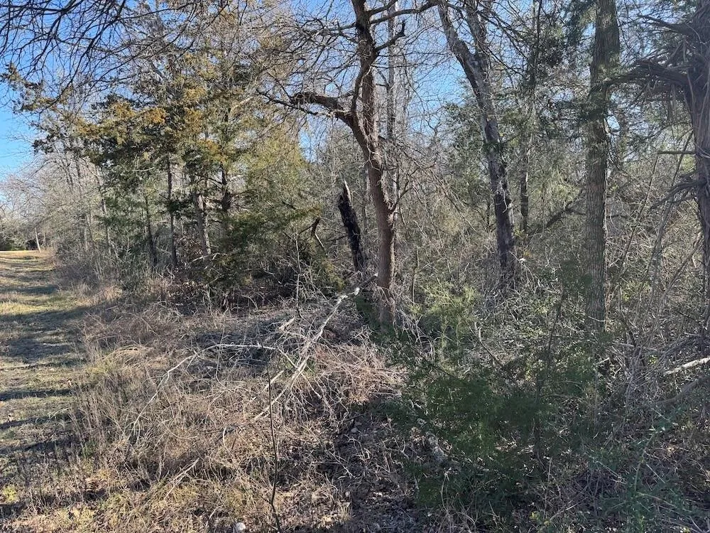 Swan Lake Drive Caldwell, TX 77836