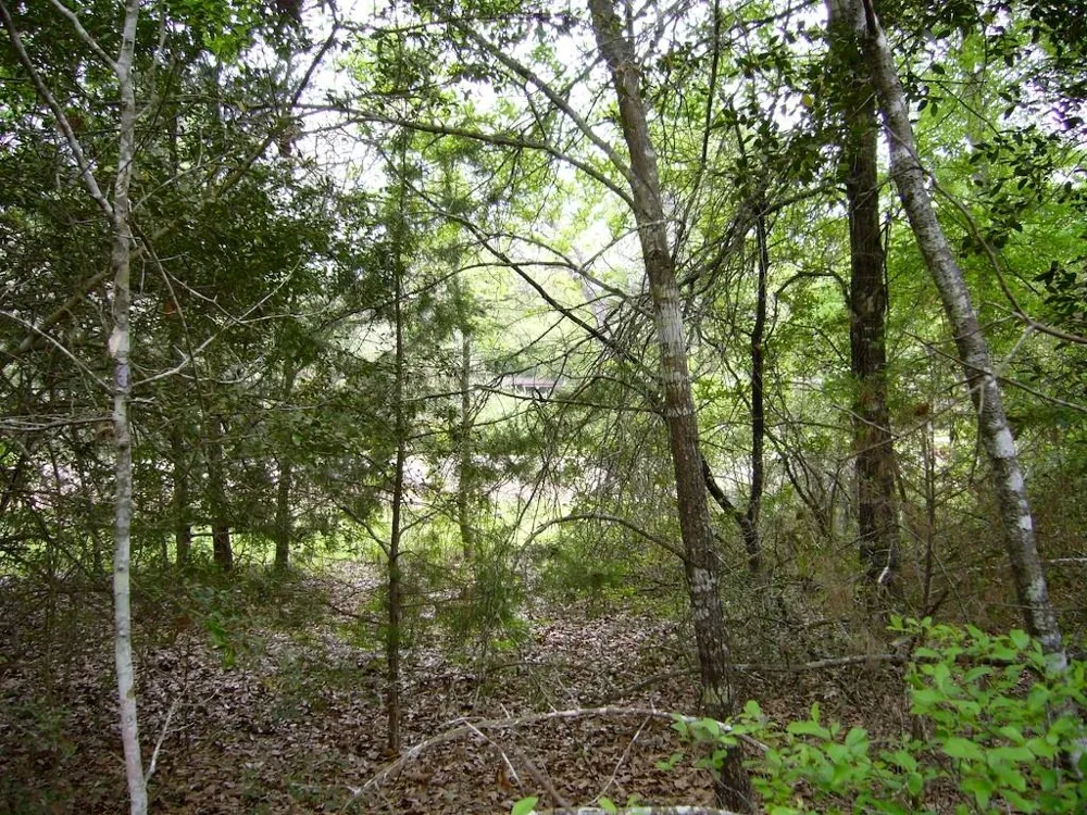Swan Lake Drive Caldwell, TX 77836