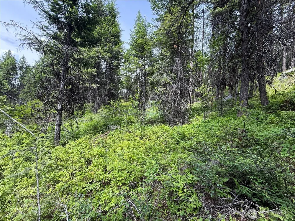 0 Mule Deer Republic, WA 99166