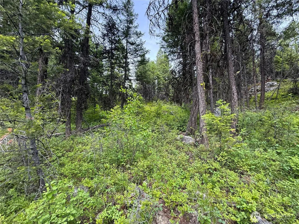 0 Mule Deer Republic, WA 99166