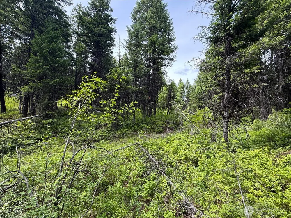 0 Mule Deer Republic, WA 99166