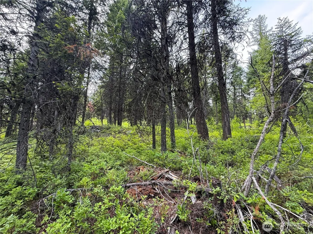 0 Mule Deer Republic, WA 99166