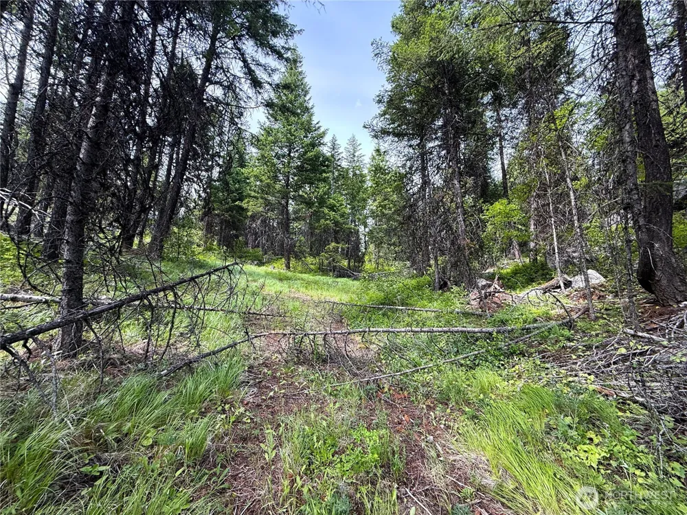 0 Mule Deer Republic, WA 99166