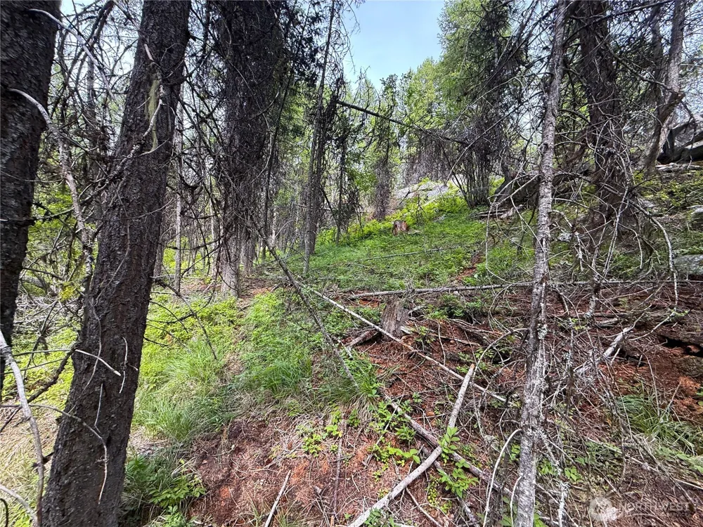 0 Mule Deer Republic, WA 99166
