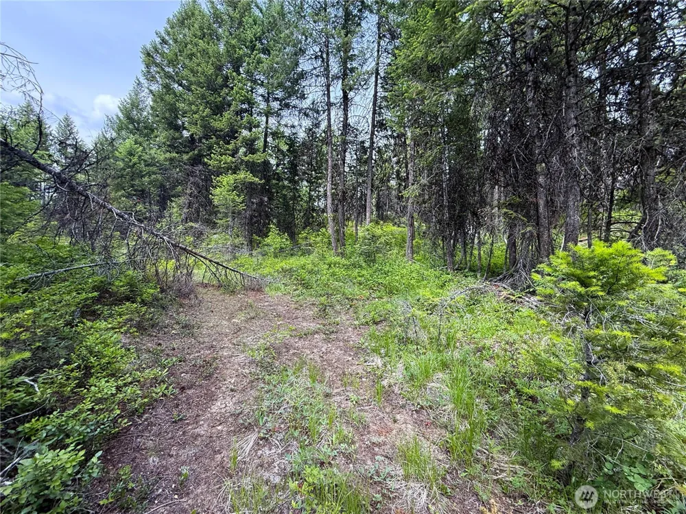 0 Mule Deer Republic, WA 99166