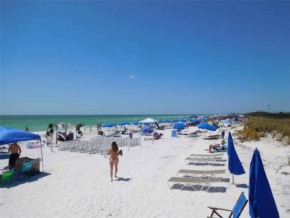 9 FORBES PLACE #205 Dunedin, FL 34698