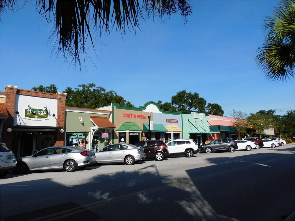 9 FORBES PLACE #205 Dunedin, FL 34698