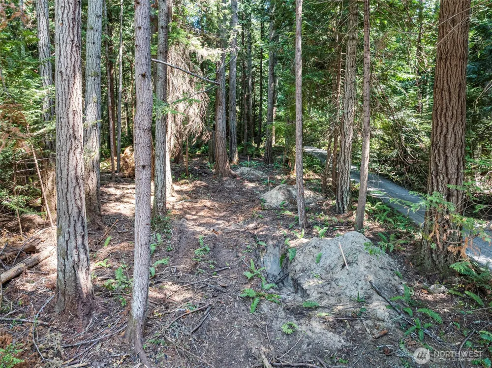 14925 Olympic View Loop Road NW Silverdale, WA 98383