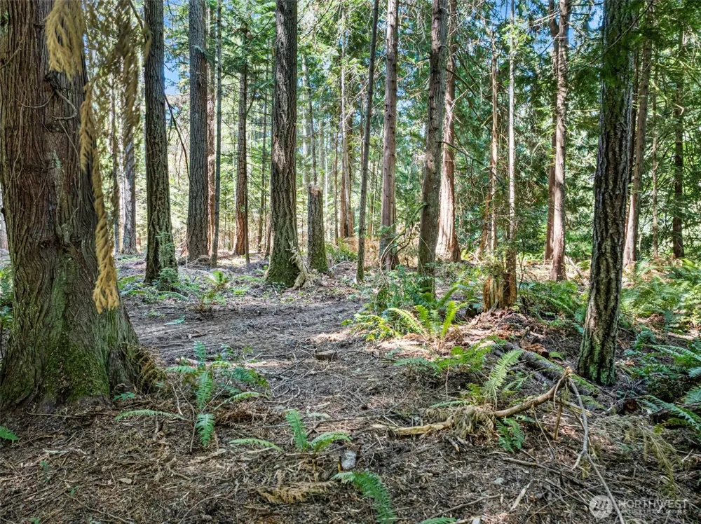 14925 Olympic View Loop Road NW Silverdale, WA 98383