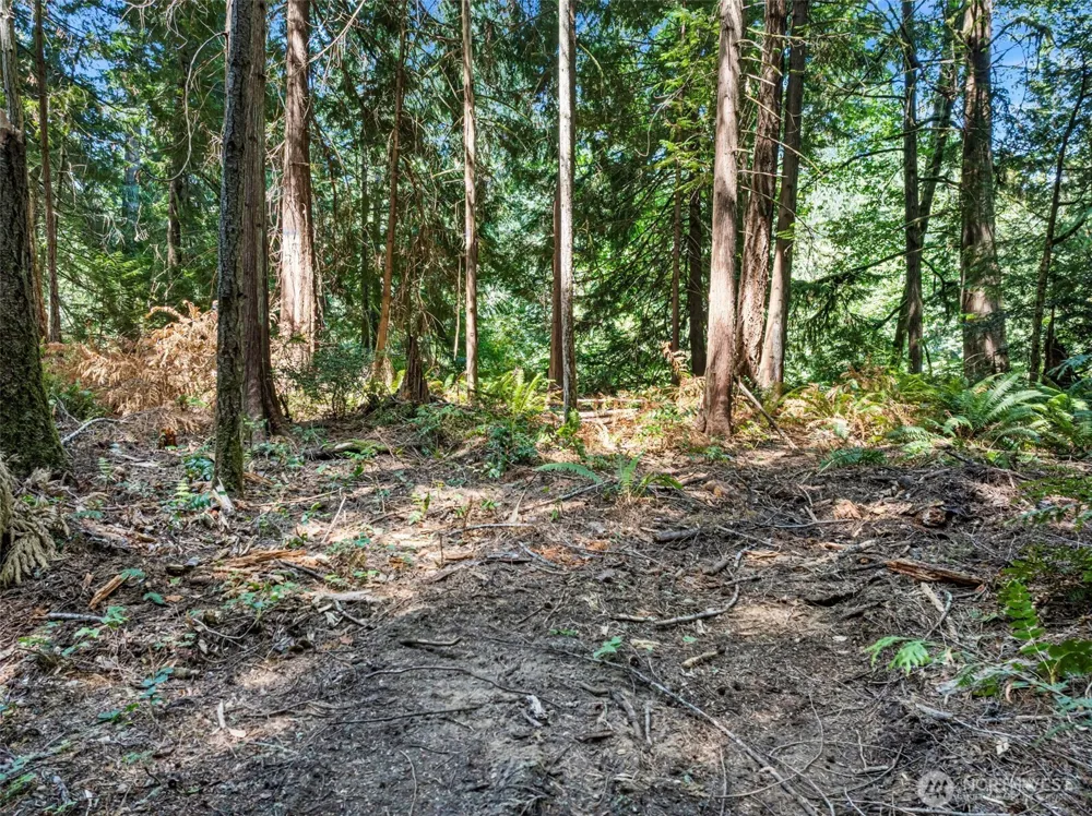 14925 Olympic View Loop Road NW Silverdale, WA 98383