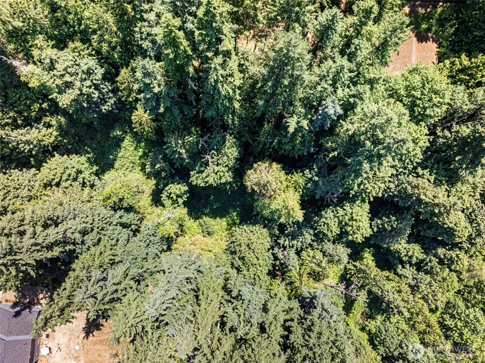 14925 Olympic View Loop Road NW Silverdale, WA 98383