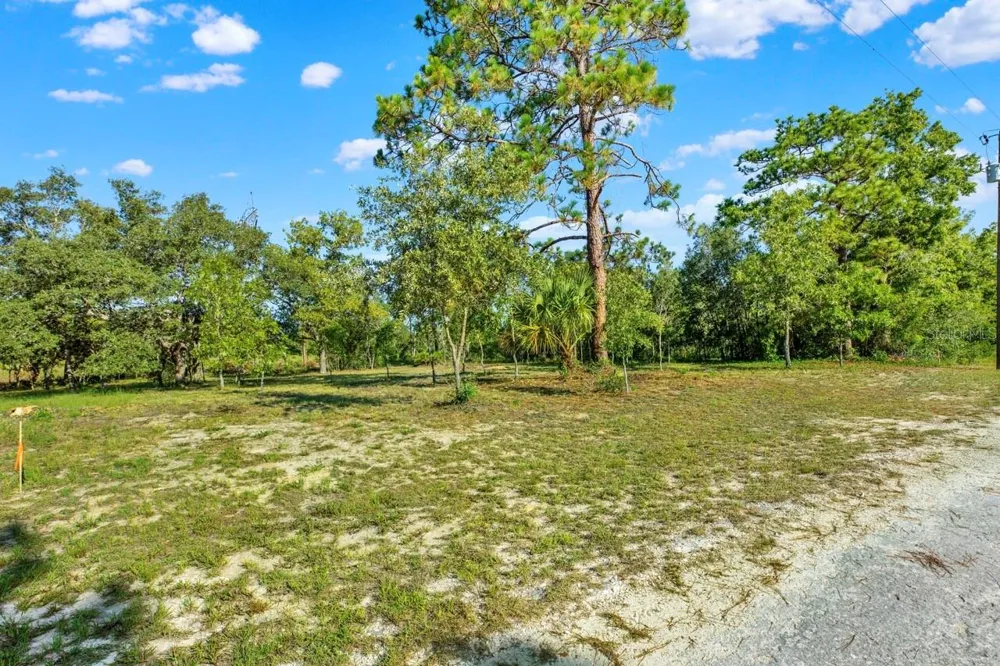0 CONDOR ROAD Brooksville, FL 34614