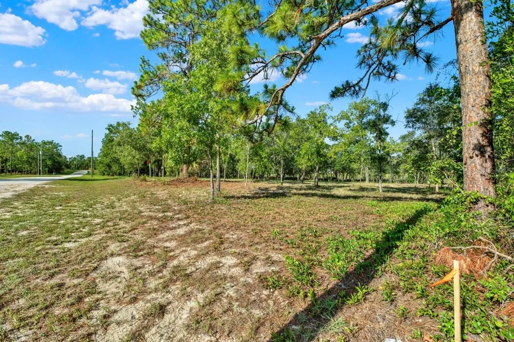 0 CONDOR ROAD Brooksville, FL 34614