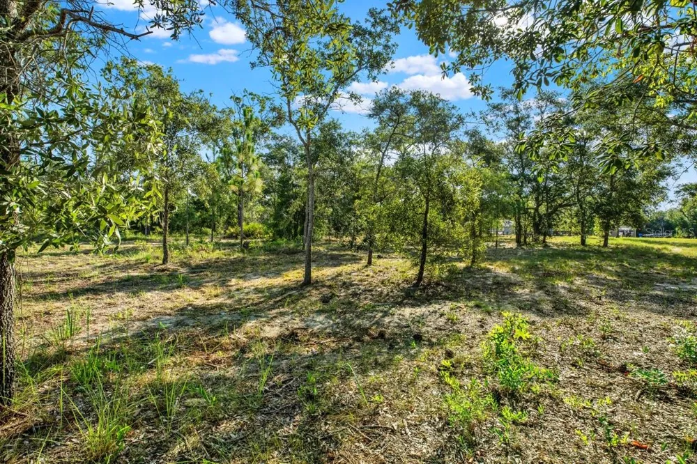 0 CONDOR ROAD Brooksville, FL 34614