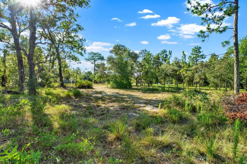 0 CONDOR ROAD Brooksville, FL 34614