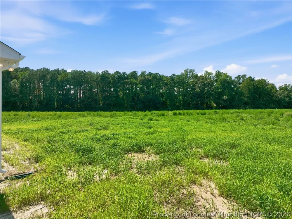 3517 Old Wire (Lot 1) Road Shannon, NC 28386