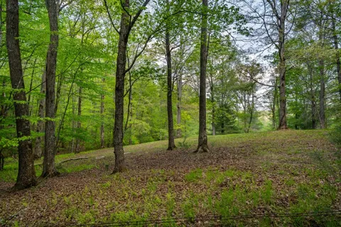 Lot 3-4 Scouts Overlook Lane