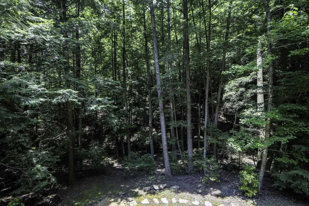 160 Tall Tree Trail Dunlap, TN 37327