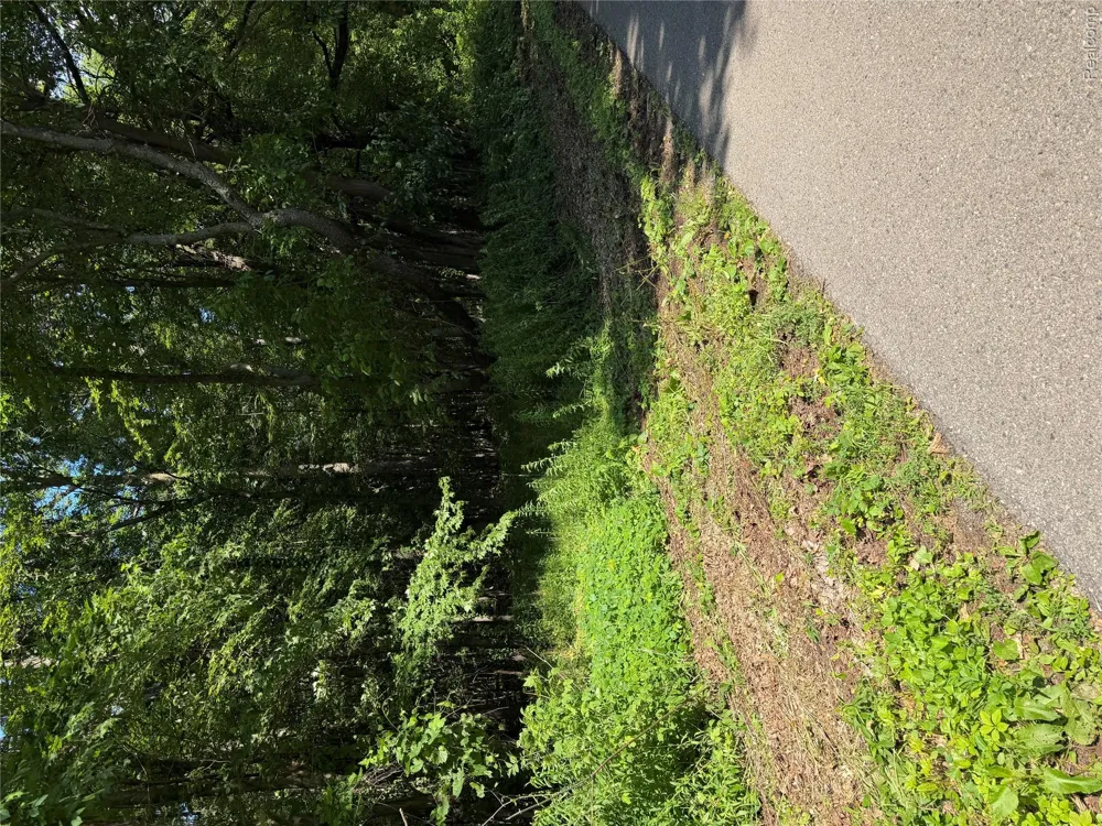 Ripple Way White Lake Charter Township, MI 48383