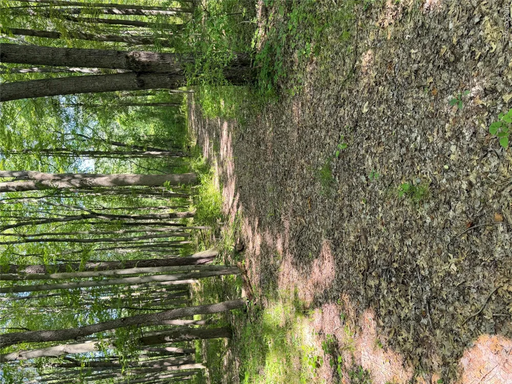 Ripple Way White Lake Charter Township, MI 48383