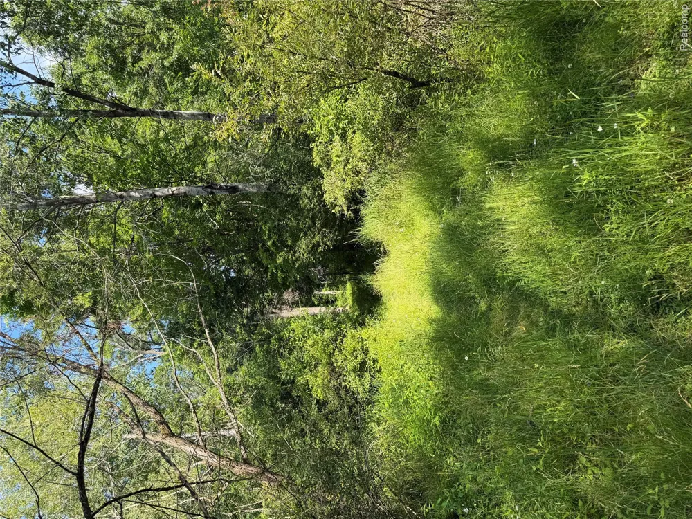 Ripple Way White Lake Charter Township, MI 48383