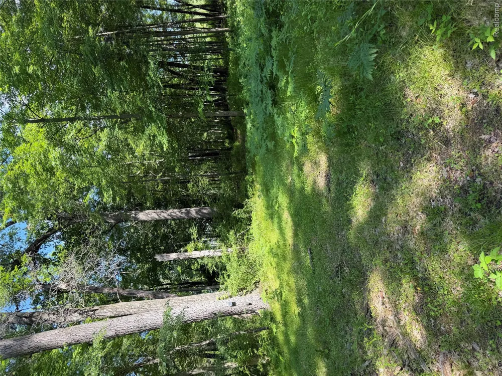 Ripple Way White Lake Charter Township, MI 48383