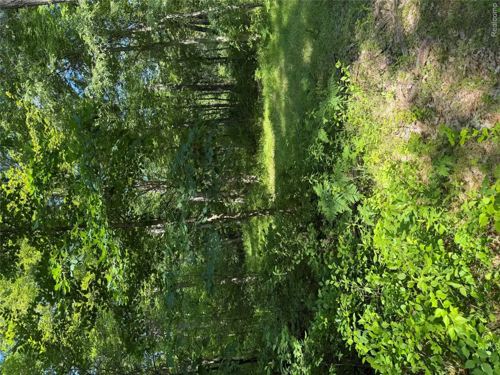 Ripple Way White Lake Charter Township, MI 48383