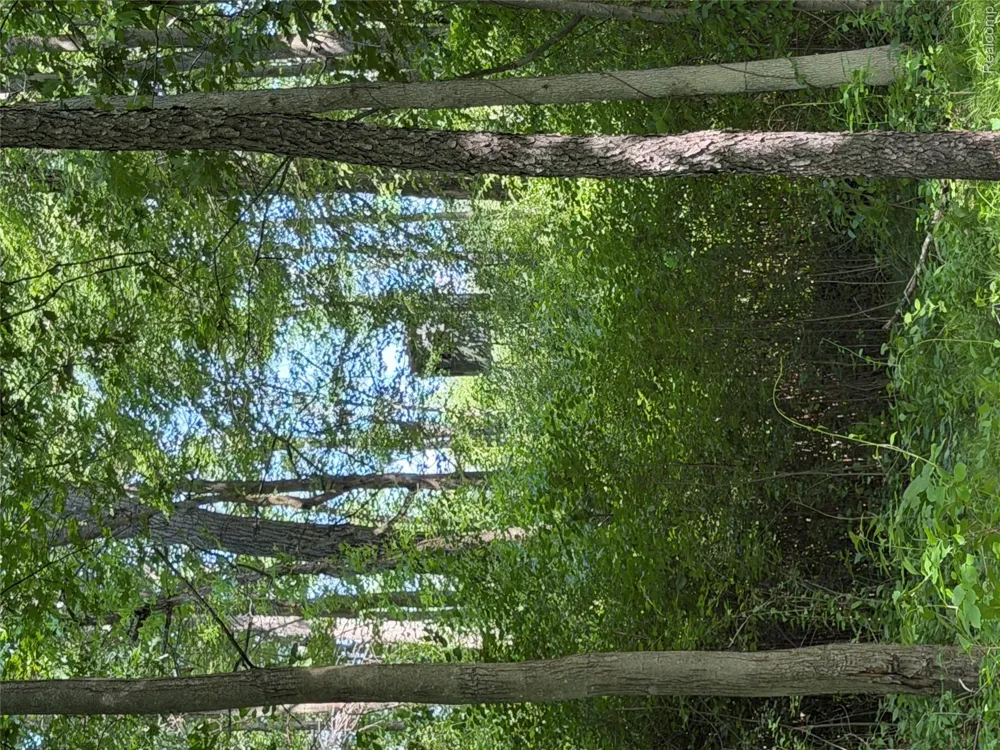 Ripple Way White Lake Charter Township, MI 48383