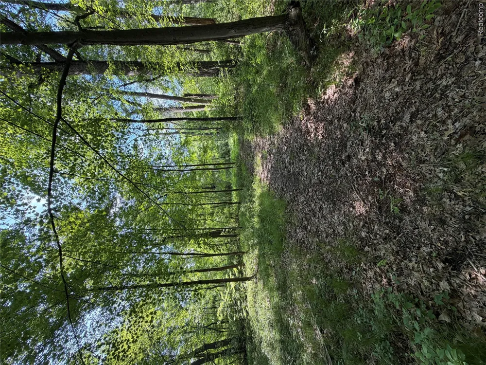 Ripple Way White Lake Charter Township, MI 48383