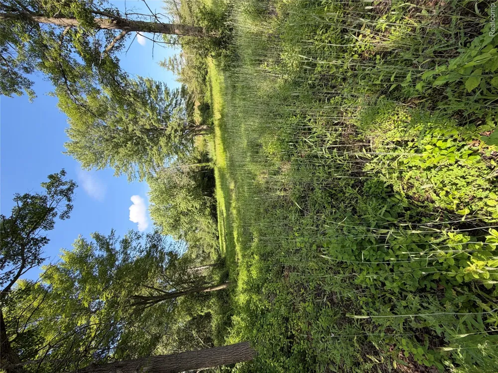 Ripple Way White Lake Charter Township, MI 48383