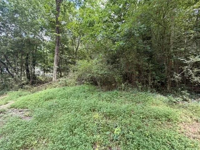 280 Nixon Road Summerville, GA 30747