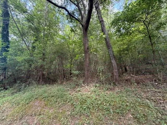 280 Nixon Road Summerville, GA 30747