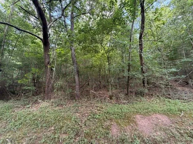 280 Nixon Road Summerville, GA 30747