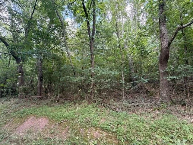 280 Nixon Road Summerville, GA 30747