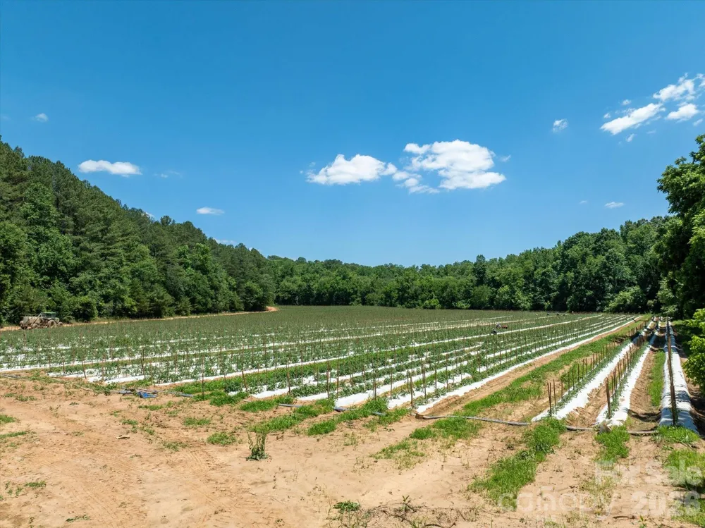 99999 Tryon Road Rutherfordton, NC 28139