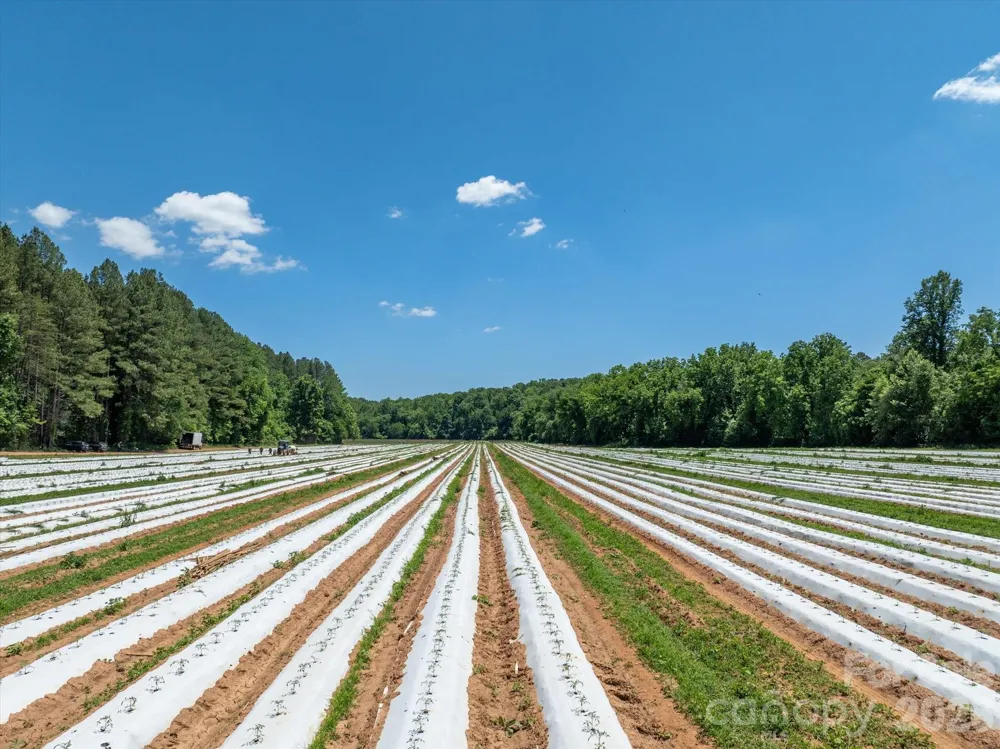 99999 Tryon Road Rutherfordton, NC 28139