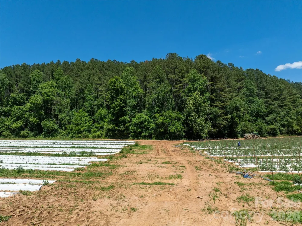 99999 Tryon Road Rutherfordton, NC 28139