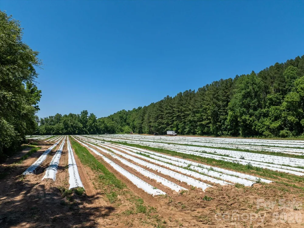 99999 Tryon Road Rutherfordton, NC 28139