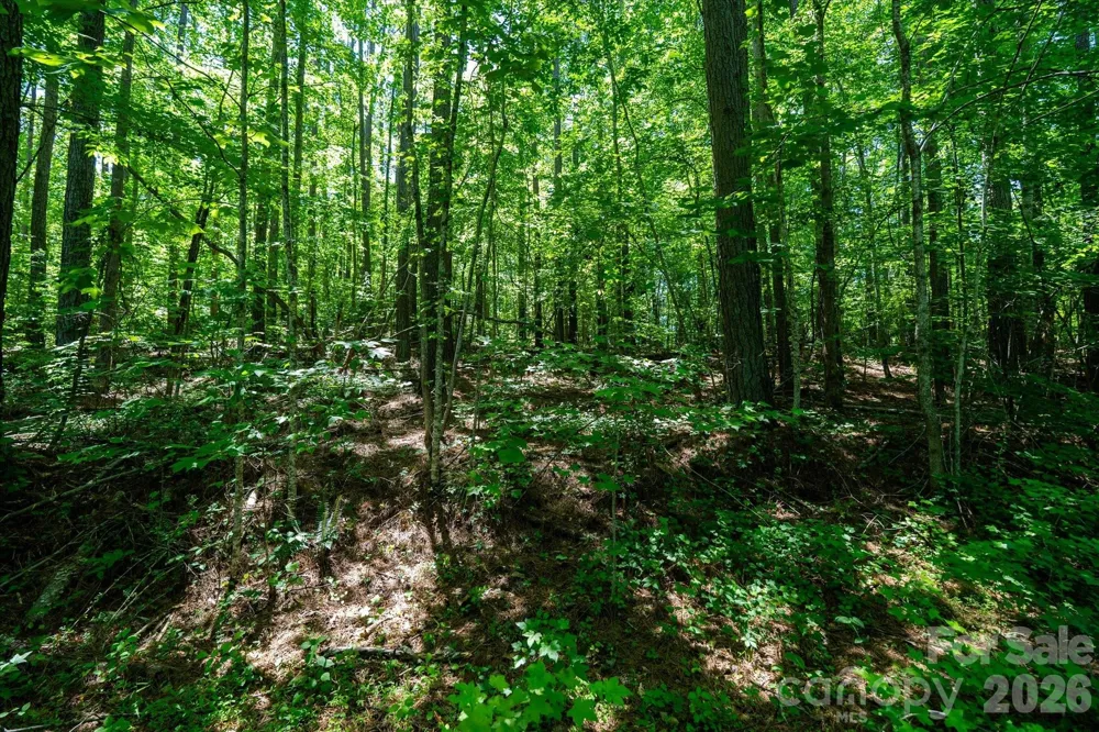 99999 Tryon Road Rutherfordton, NC 28139