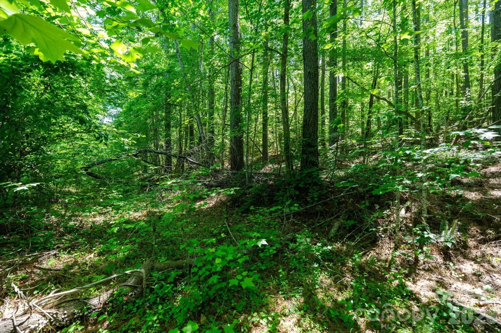 99999 Tryon Road Rutherfordton, NC 28139