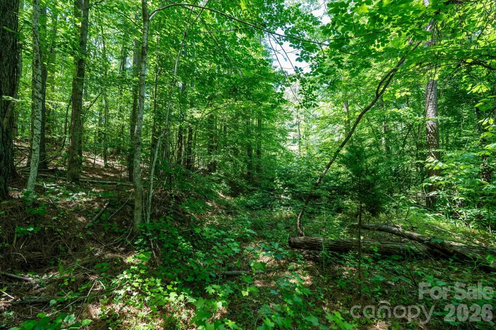 99999 Tryon Road Rutherfordton, NC 28139