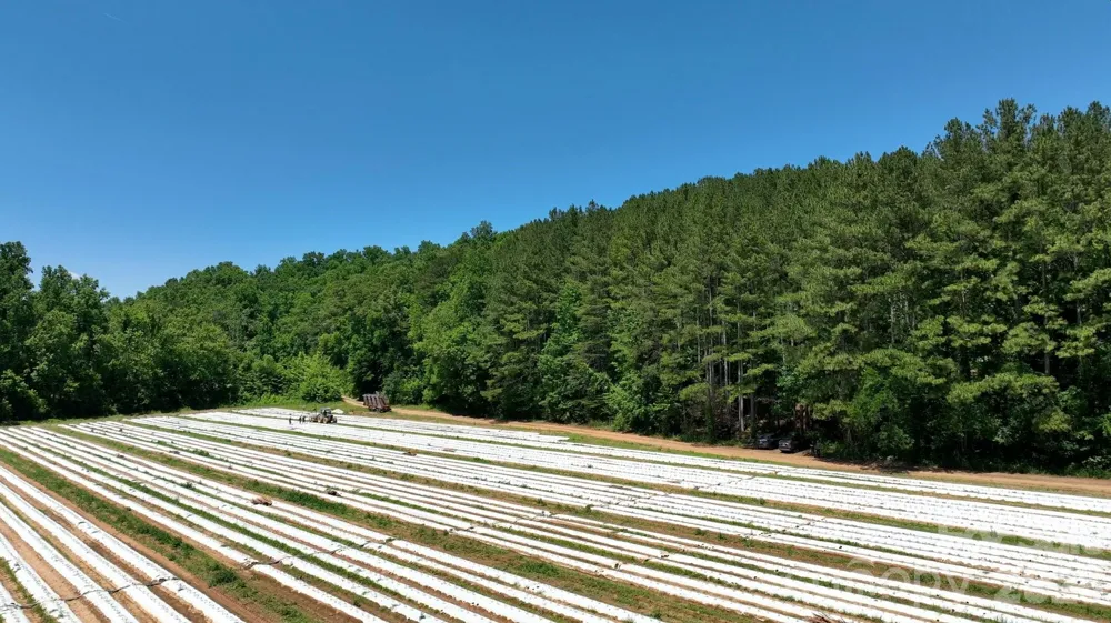 99999 Tryon Road Rutherfordton, NC 28139