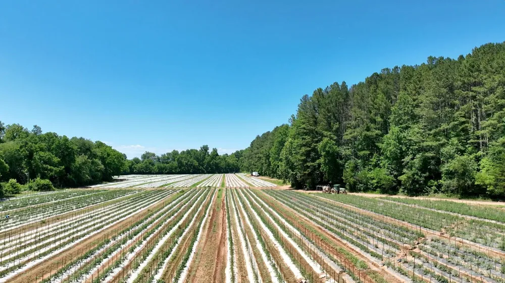 99999 Tryon Road Rutherfordton, NC 28139