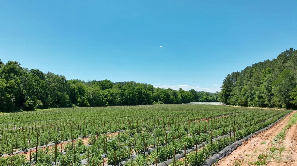 99999 Tryon Road Rutherfordton, NC 28139