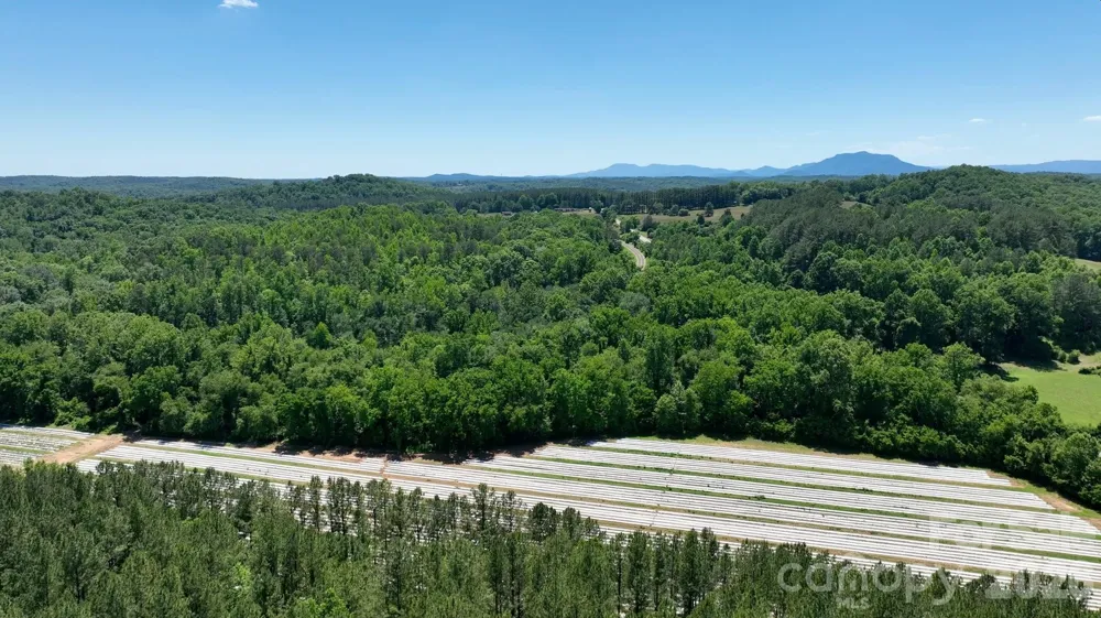 99999 Tryon Road Rutherfordton, NC 28139