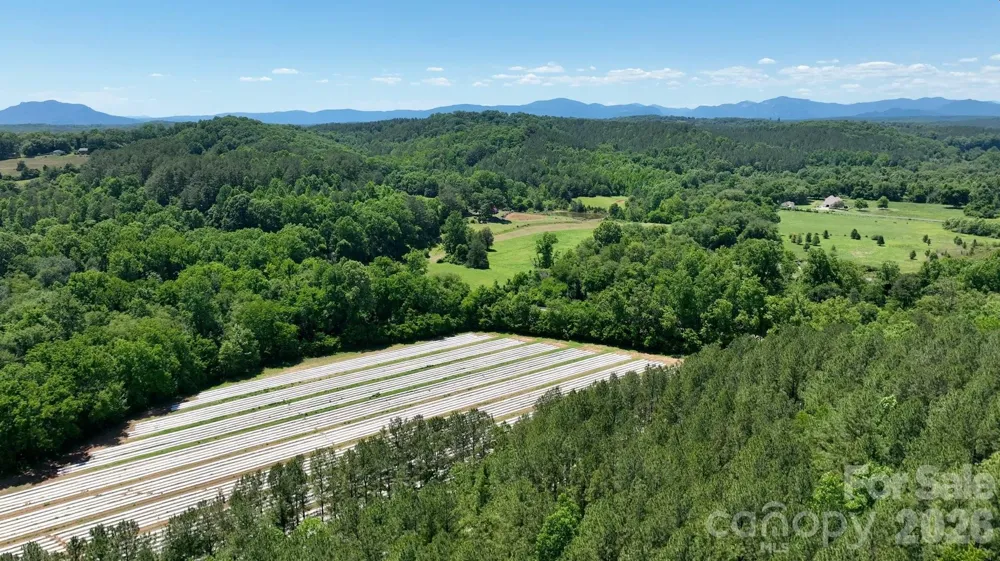 99999 Tryon Road Rutherfordton, NC 28139