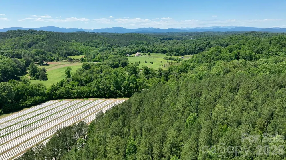 99999 Tryon Road Rutherfordton, NC 28139