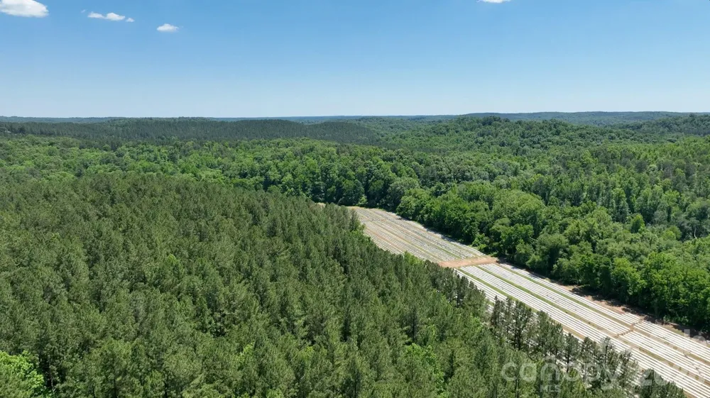 99999 Tryon Road Rutherfordton, NC 28139