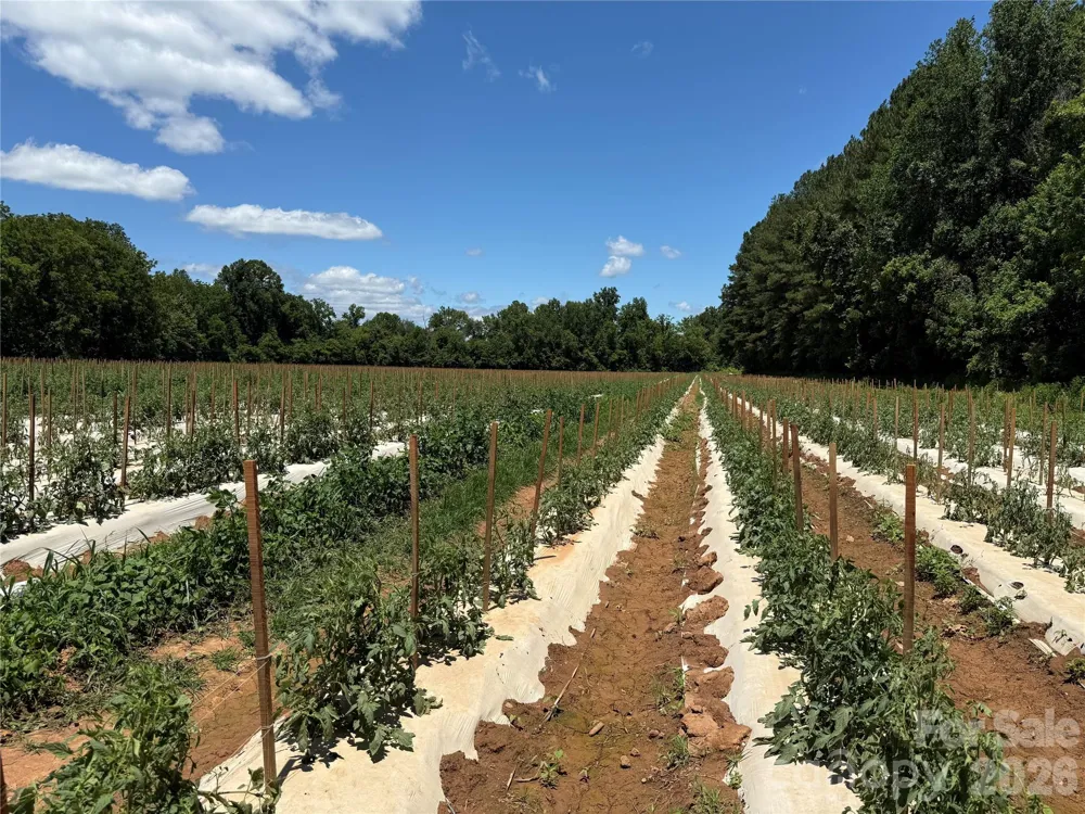 99999 Tryon Road Rutherfordton, NC 28139
